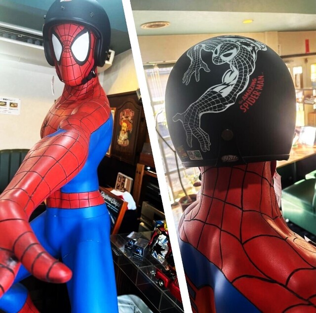 spider_bob.jpg